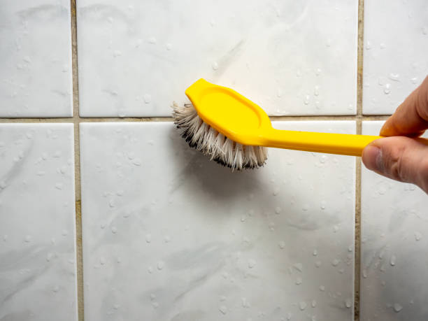 Best Emergency Mold Removal  in Chalmette, LA